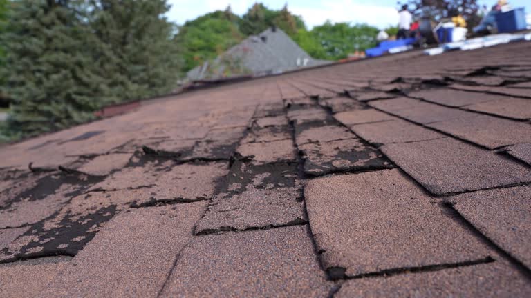 Fast & Reliable Emergency Roof Repairs in Tunica, MS